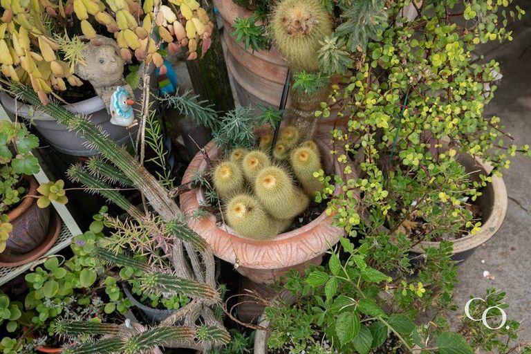 Photo of property in 512 Southampton Street East, Hastings, 4122