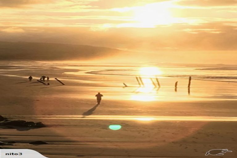 Photo of property in 4a Clayton Street, Saint Clair, Dunedin, 9012