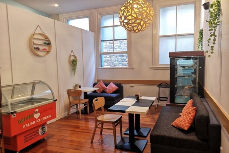 Photo of property in 100 Albert Street, Hamilton East, Hamilton, 3216