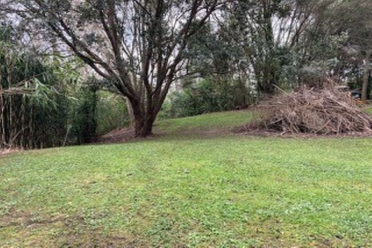 Photo of property in 11 Ron Wyatt Lane, Waiuku, 2123