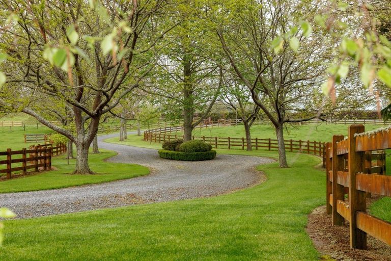 Photo of property in 160 Tower Road, Matamata, 3471