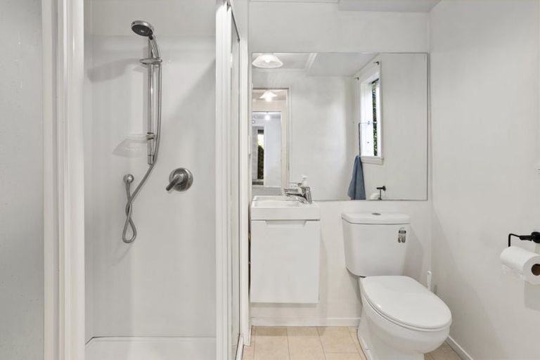 Photo of property in 64 Norway Street, Aro Valley, Wellington, 6012