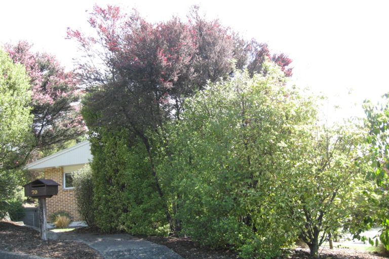 Photo of property in 70 Arapiki Road, Stoke, Nelson, 7011