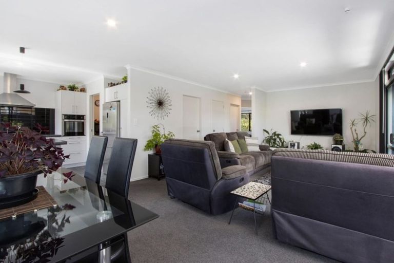 Photo of property in 19 Adams Street, Waihi, 3610