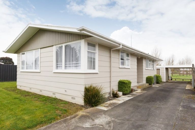 Photo of property in 19 Fergusson Street, Marton, 4710