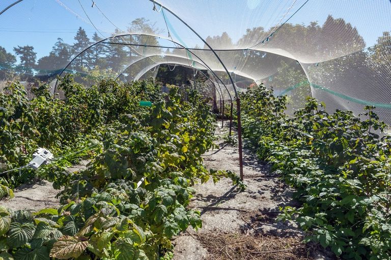 Photo of property in 7 Opuha Street East, Orari, Geraldine, 7992