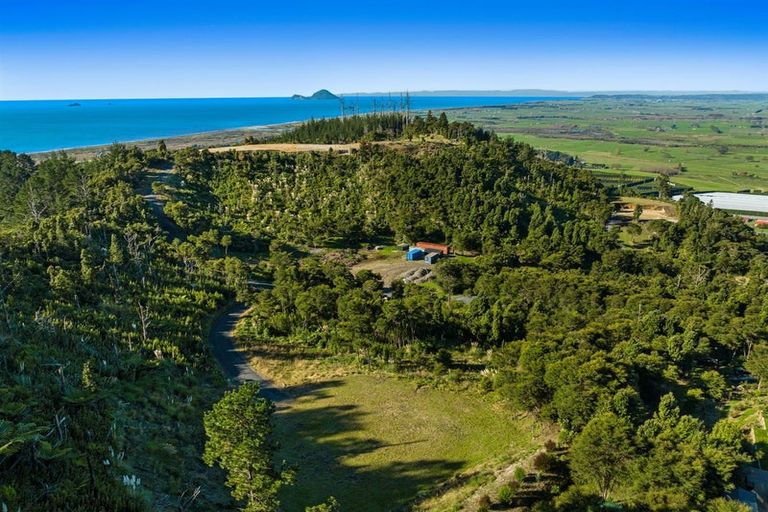 Photo of property in 197 Kokako Heights, Matata, 3194