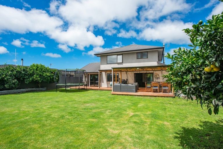Photo of property in 166 Avondale Road, Greenmeadows, Napier, 4112