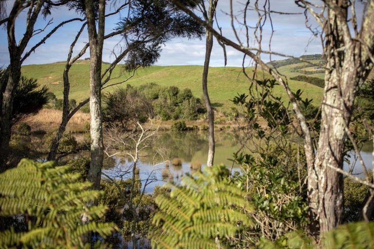 Photo of property in 76 Omahina Street, Raglan, 3225