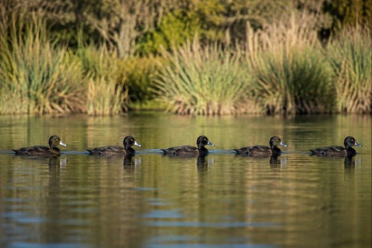 Photo of property in 163 Okere Road, Okere Falls, Rotorua, 3074
