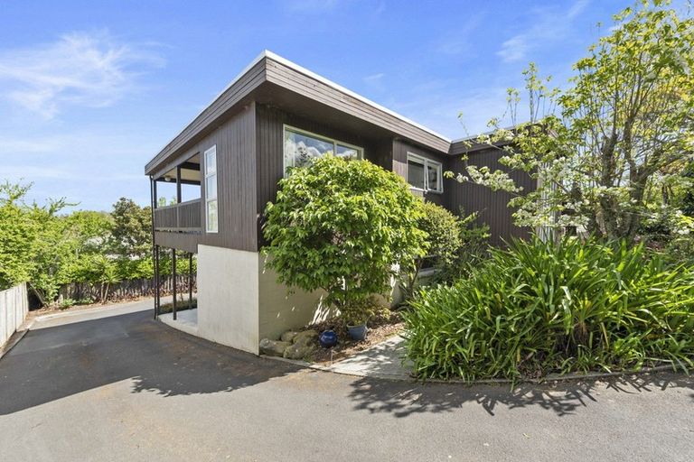 Photo of property in 58 Cambridge Road, Hillcrest, Hamilton, 3216