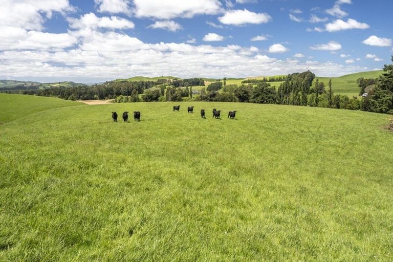 Photo of property in 268 Mikimiki Road, Mikimiki, Masterton, 5881