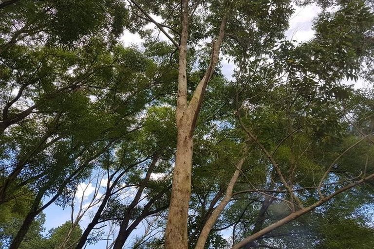 Photo of property in 576 Cemetery Road, Maunu, Whangarei, 0170