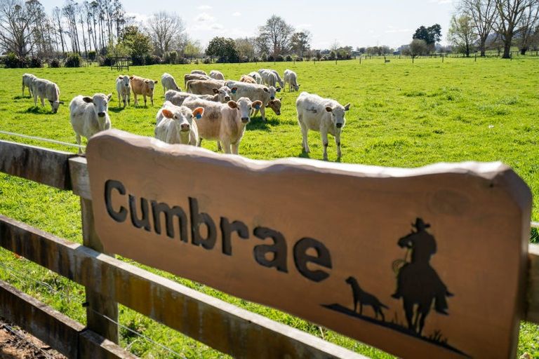 Photo of property in 6/103 Maungakawa Road, Cambridge, 3496