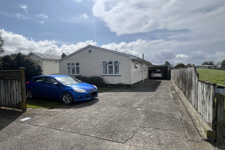 Photo of property in 241 Botanical Road, Takaro, Palmerston North, 4412