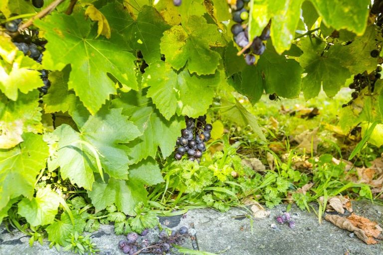 Photo of property in 16 Akatarawa Road, Brown Owl, Upper Hutt, 5018