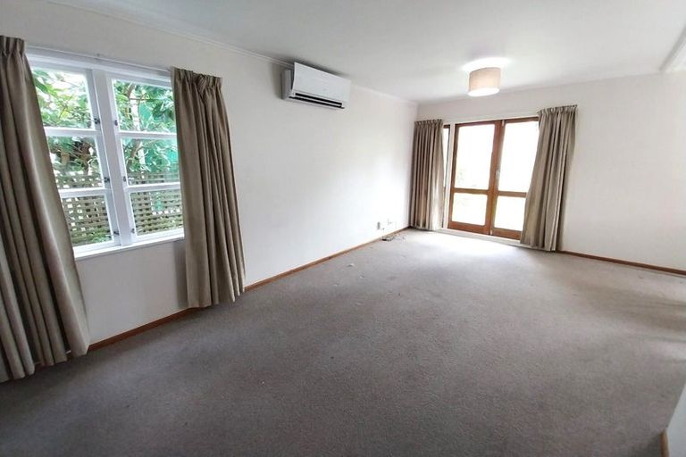 Photo of property in 117 Aro Street, Aro Valley, Wellington, 6021