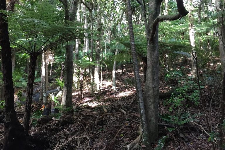 Photo of property in 16 Waikarekare Lane, Karekare, Auckland, 0772