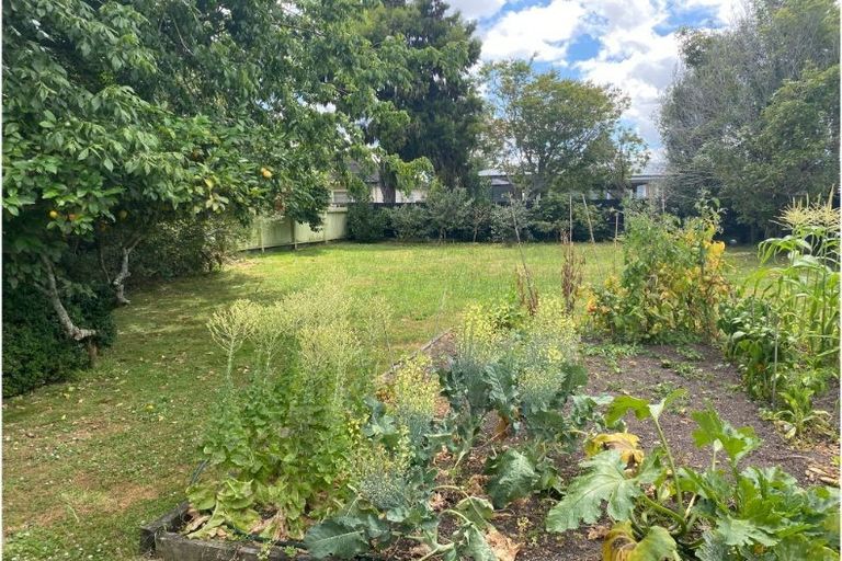 Photo of property in 50 Nixon Street, Hamilton East, Hamilton, 3216