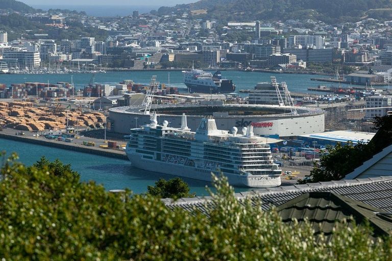 Photo of property in 12 Tensing Place, Khandallah, Wellington, 6035