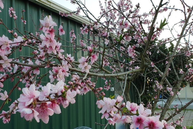 Photo of property in 21 Farmer Road, Waitoa, 3310