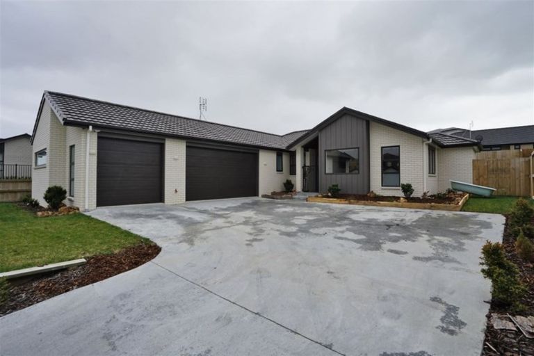 Photo of property in 66 Cumberland Drive, Flagstaff, Hamilton, 3210