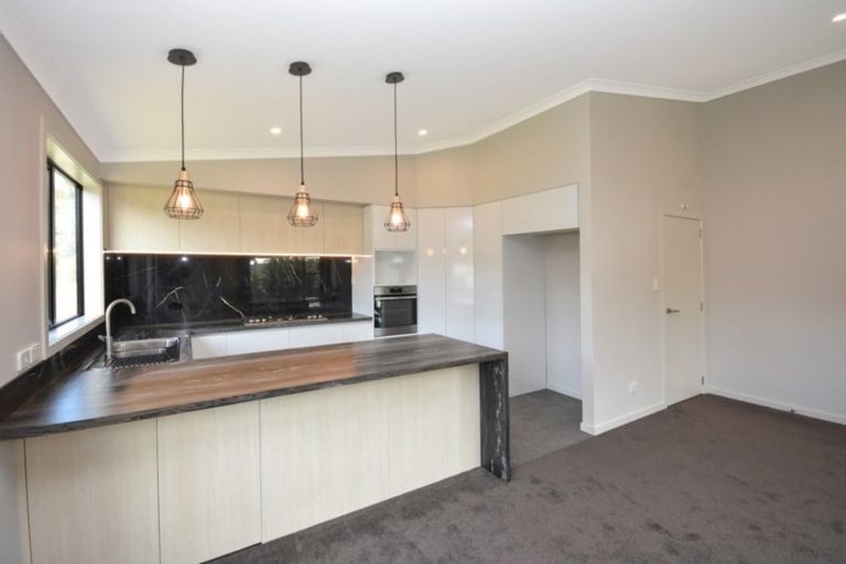 Photo of property in 20a Glenelg Street, Bradford, Dunedin, 9011