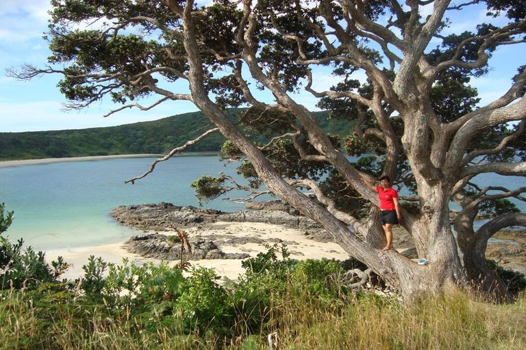 Photo of property in 336 Matai Bay Road, Karikari Peninsula, Kaitaia, 0483