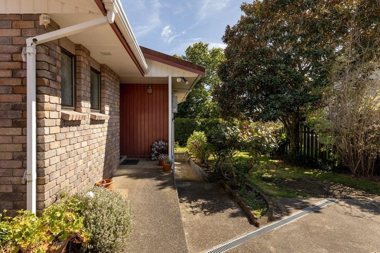 Photo of property in 3 Cambridge Road, Judea, Tauranga, 3110