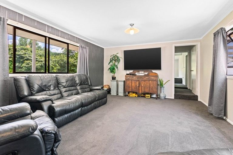 Photo of property in 217 East Road, Reporoa, 3081