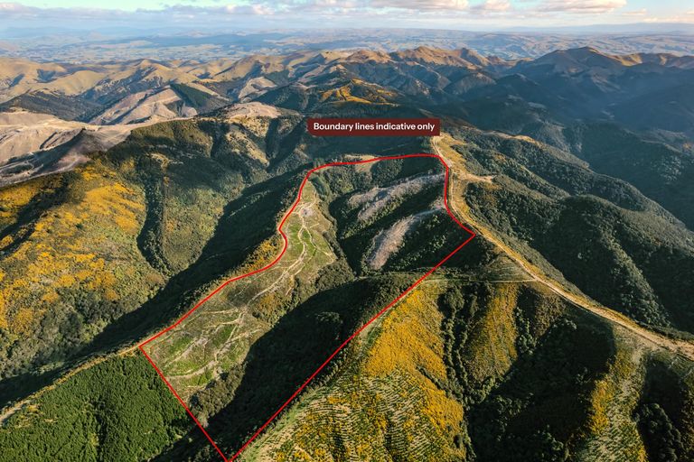 Photo of property in 24 Duncan Road, St Andrews, Hamilton, 3200