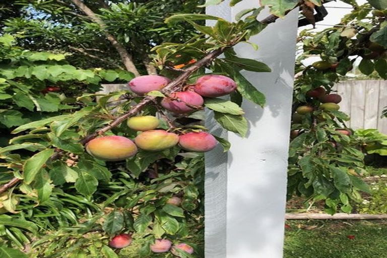 Photo of property in 46 Waimea Road, Waikanae Beach, Waikanae, 5036