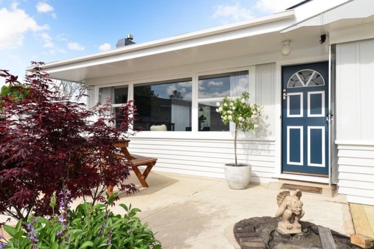 Photo of property in 19 Jeanette Street, Glenview, Hamilton, 3206