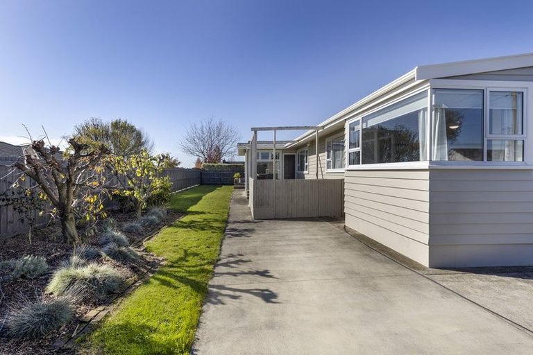 Photo of property in 77 Redwood Street, Redwoodtown, Blenheim, 7201
