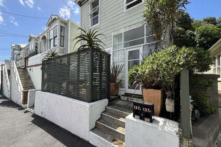 Photo of property in 137 Elizabeth Street, Mount Victoria, Wellington, 6011