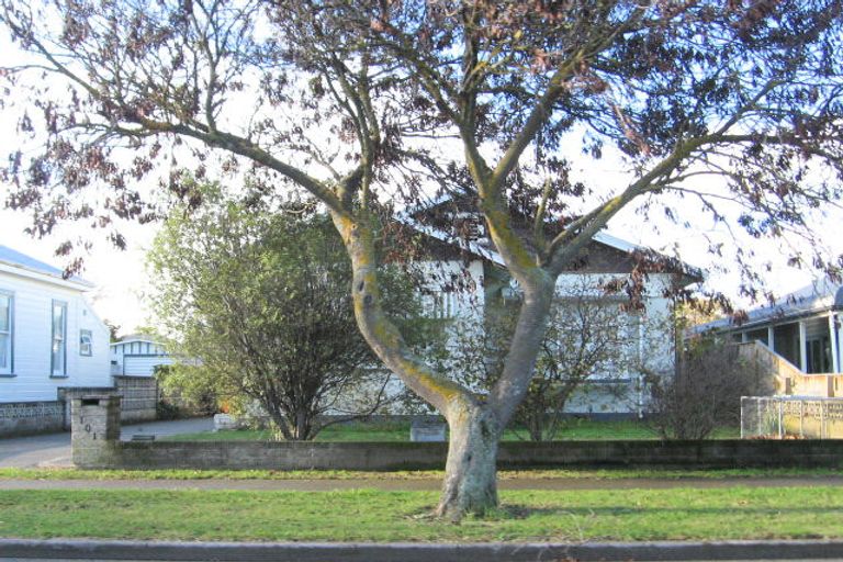 Photo of property in 101 Vigor Brown Street, Napier South, Napier, 4110