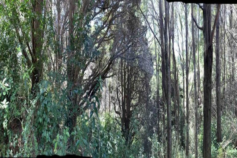 Photo of property in 443 East Takaka Road, East Takaka, Takaka, 7183