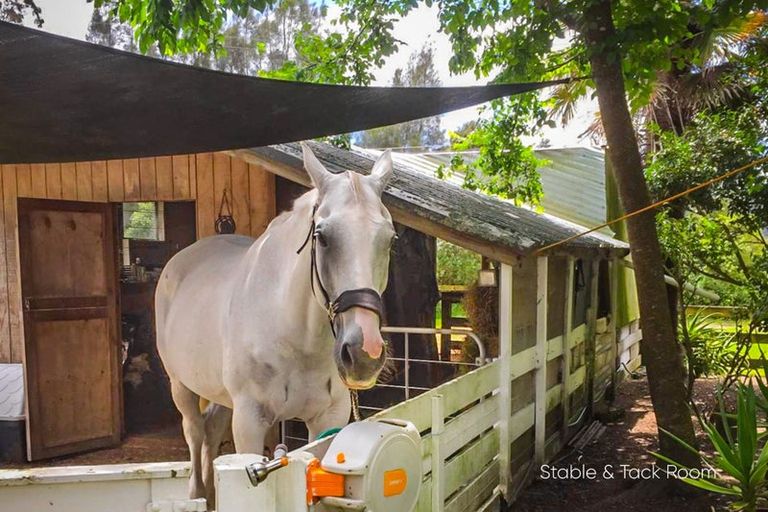 Photo of property in 438 Kaipara Coast Highway, Helensville, Kaukapakapa, 0871