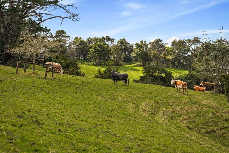 Photo of property in 167 Anderson Road, Helensville, 0875