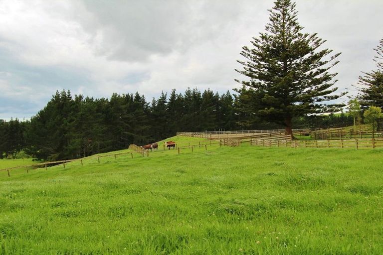 Photo of property in 290 Hunter Road, Patumahoe, Pukekohe, 2679