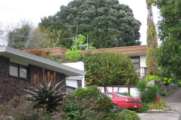 Photo of property in 44 Eleventh Avenue, Tauranga, 3110