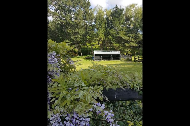 Photo of property in 289 Wright Road, Aongatete, Katikati, 3181