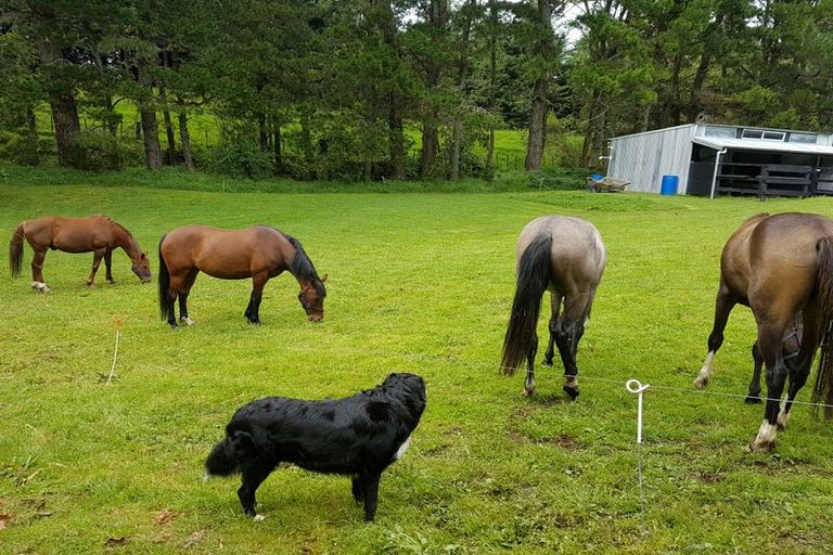 Photo of property in 289 Wright Road, Aongatete, Katikati, 3181