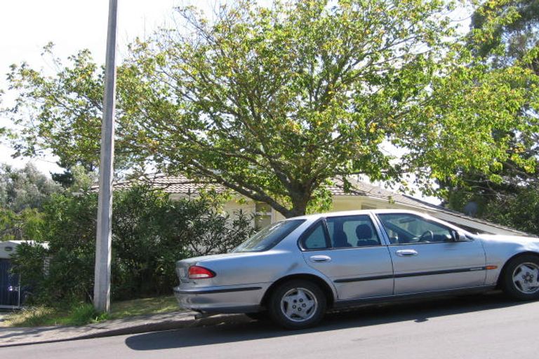 Photo of property in 44 Danbury Drive, Torbay, Auckland, 0630