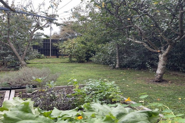 Photo of property in 25 Churchill Avenue, Richmond, 7020