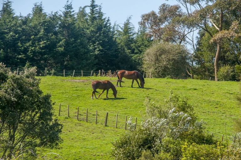 Photo of property in 289 Wright Road, Aongatete, Katikati, 3181