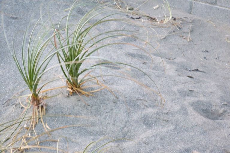 Photo of property in 2 Lyall Parade, Lyall Bay, Wellington, 6022