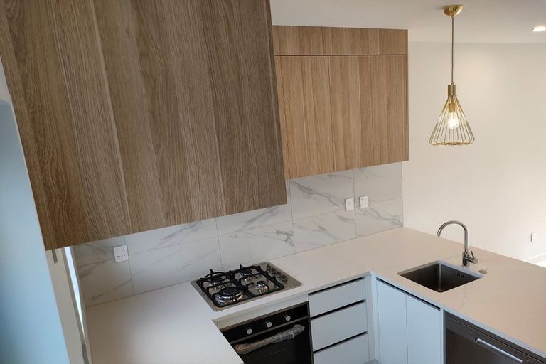 Photo of property in 21 Treeline Lane, Flat Bush, Auckland, 2019