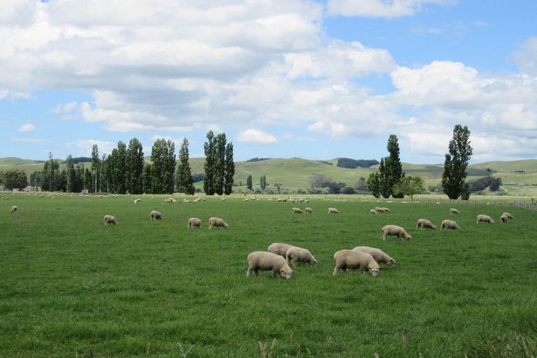 Photo of property in 1/3389 State Highway 2, Takapau, 4281