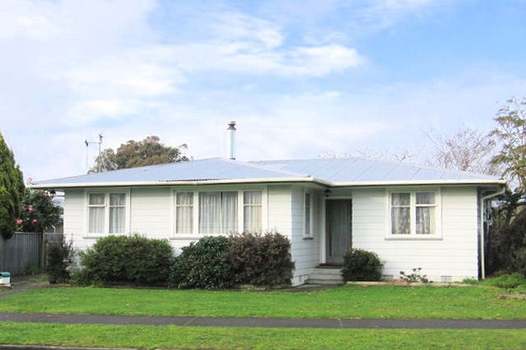 Photo of property in 156 Limbrick Street, Terrace End, Palmerston North, 4410